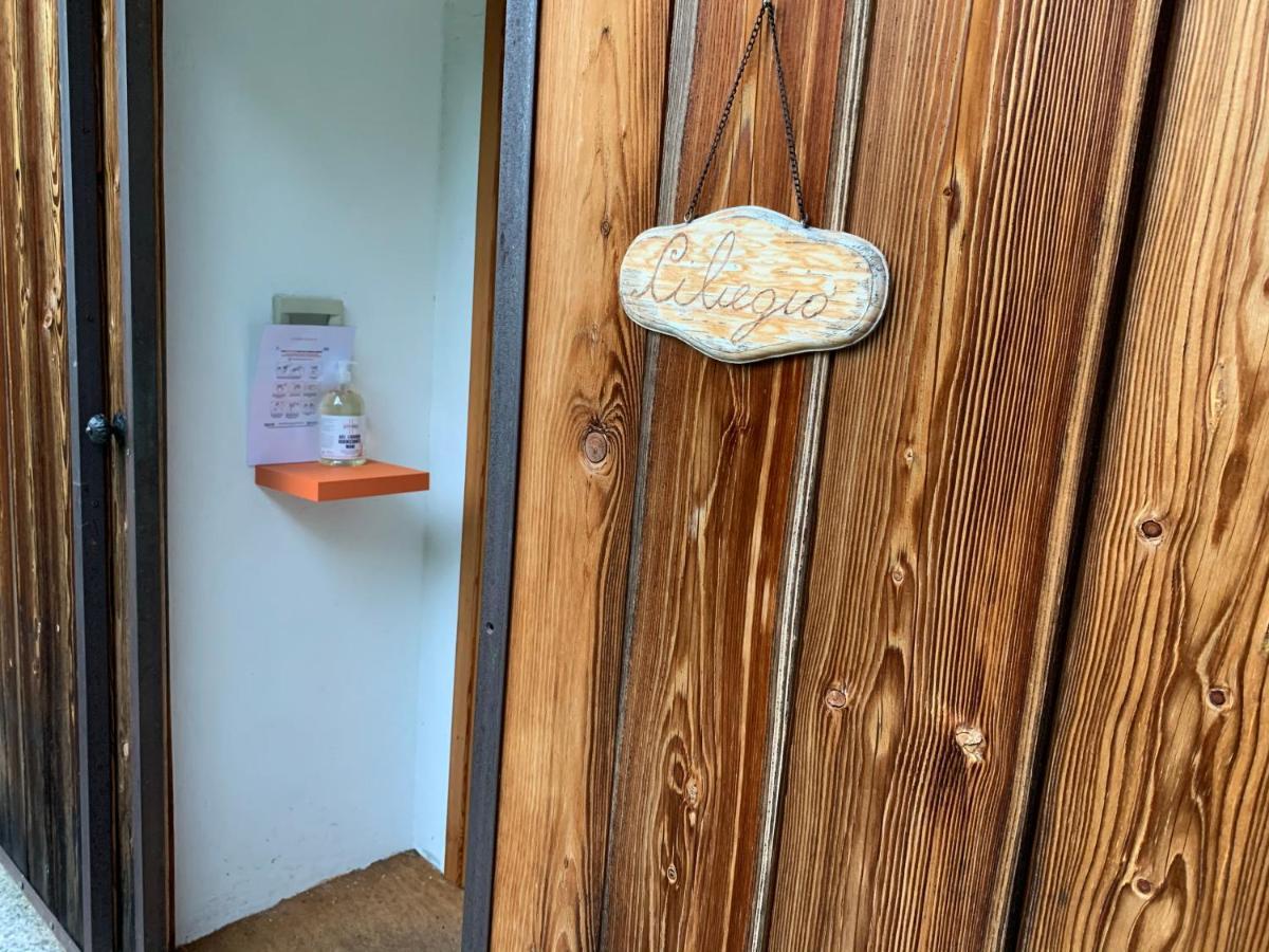 Il Ciliegio Selvatico Apartment Вербания Екстериор снимка